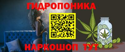 соль ск Лесосибирск