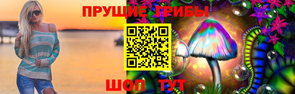 Гусь-Хрустальный  Псилоцибиновые грибы Psilocybine cubensis  Вход с VPN  Псилоцибиновые грибы мицелий 